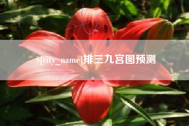 金坛排三九宫图预测
