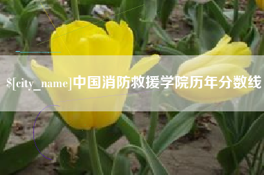 金坛中国消防救援学院历年分数线