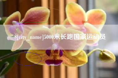 金坛5000米长跑国家运动员