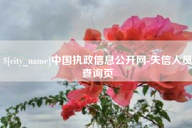 金坛中国执政信息公开网-失信人员查询页