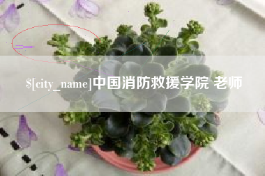 金坛中国消防救援学院 老师