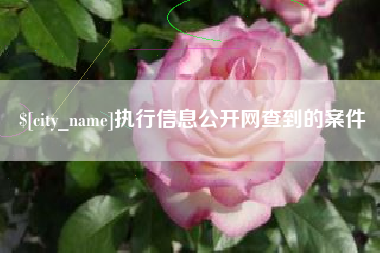 金坛执行信息公开网查到的案件