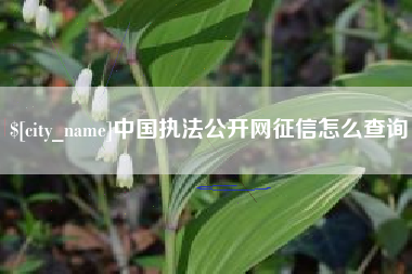 金坛中国执法公开网征信怎么查询