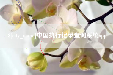 金坛中国执行记录查询系统app