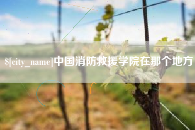 金坛中国消防救援学院在那个地方