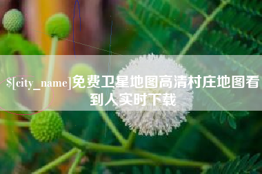金坛免费卫星地图高清村庄地图看到人实时下载