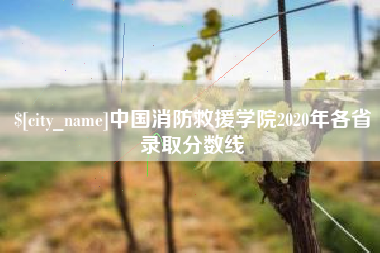 金坛中国消防救援学院2020年各省录取分数线
