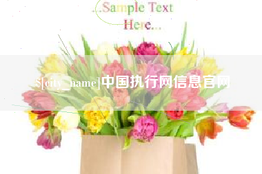 金坛中国执行网信息官网
