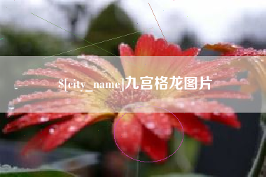 金坛九宫格龙图片