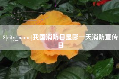 金坛我国消防日是哪一天消防宣传日