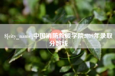 金坛中国消防救援学院2019年录取分数线