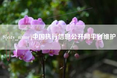 金坛中国执行信息公开网平台维护