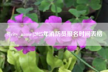 金坛2025年消防员报名时间表格