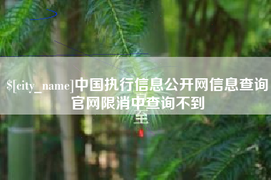 金坛中国执行信息公开网信息查询官网限消中查询不到