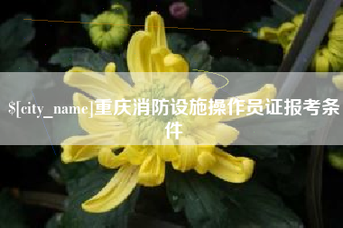 金坛重庆消防设施操作员证报考条件