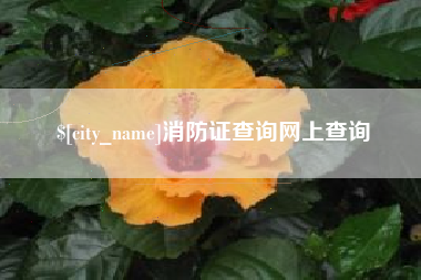 金坛消防证查询网上查询