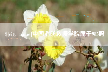 金坛中国消防救援学院属于985吗