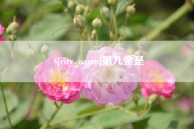 金坛第九金是