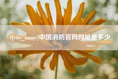 金坛中国消防官网网址是多少