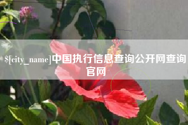 金坛中国执行信息查询公开网查询官网
