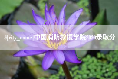 金坛中国消防救援学院2020录取分
