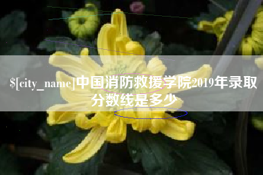 金坛中国消防救援学院2019年录取分数线是多少