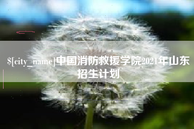 金坛中国消防救援学院2021年山东招生计划