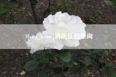 金坛消防证的查询