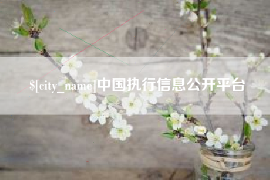 金坛中国执行信息公开平台