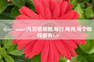 金坛九宫格规则,每行,每列,每个粗线都有1-9