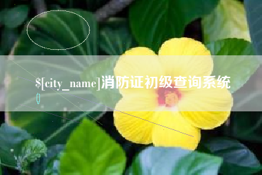 金坛消防证初级查询系统