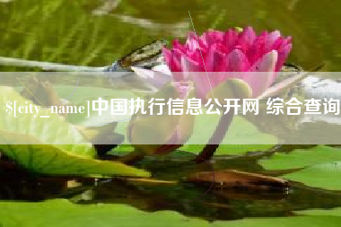 金坛中国执行信息公开网 综合查询