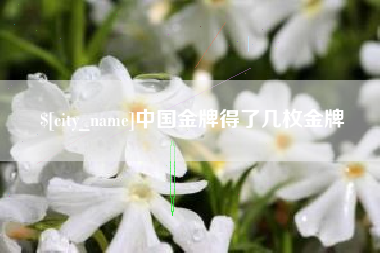 金坛中国金牌得了几枚金牌