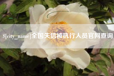 金坛全国失信被执行人员官网查询