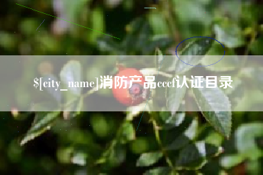 金坛消防产品cccf认证目录