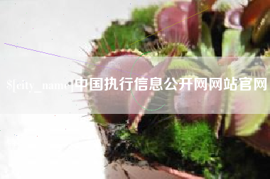 金坛中国执行信息公开网网站官网