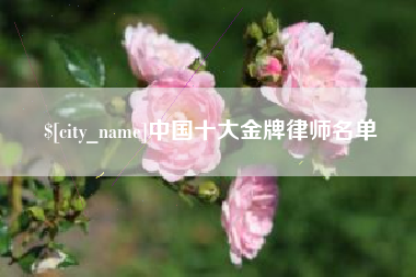 金坛中国十大金牌律师名单