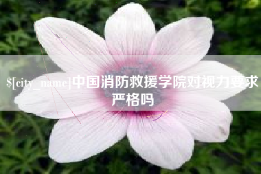 金坛中国消防救援学院对视力要求严格吗
