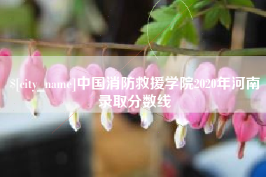 金坛中国消防救援学院2020年河南录取分数线