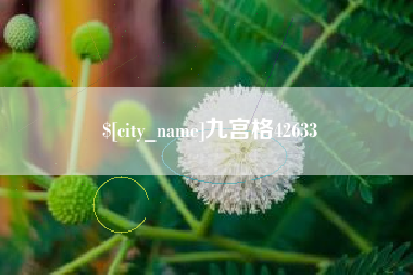 金坛九宫格42633