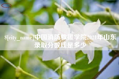 金坛中国消防救援学院2021年山东录取分数线是多少