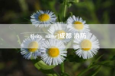金坛成都 消防