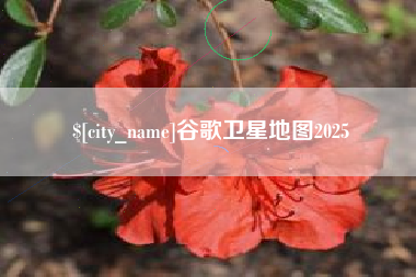 金坛谷歌卫星地图2025