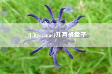 金坛九宫格盘子