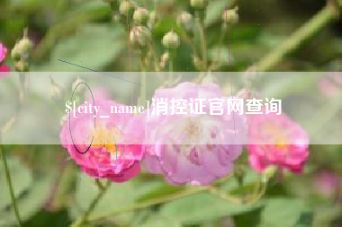 金坛消控证官网查询