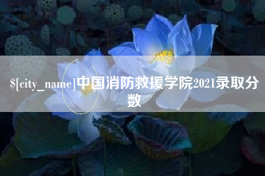 金坛中国消防救援学院2021录取分数