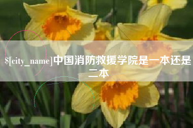 金坛中国消防救援学院是一本还是二本