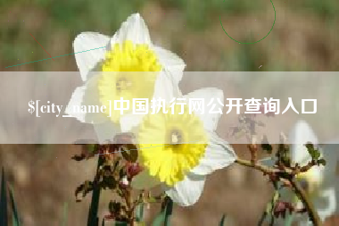 金坛中国执行网公开查询入口