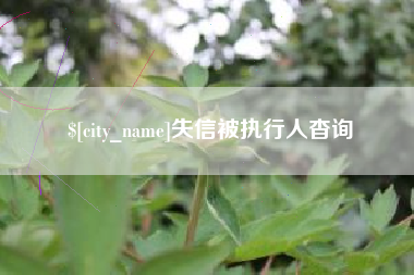 金坛失信被执行人杳询