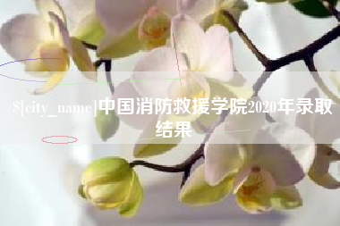 金坛中国消防救援学院2020年录取结果